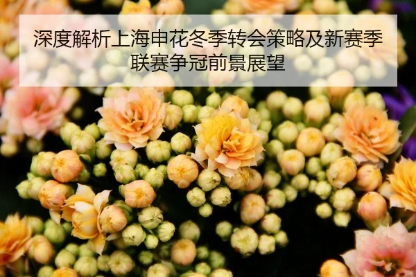 深度解析上海申花冬季转会策略及新赛季联赛争冠前景展望